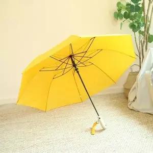 접이식 단 자동 오리 우산 3color 귀여운 비둘기 예쁜 인싸우산 엄브렐라