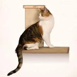 고양이 캣타워 클라이머 스크래쳐