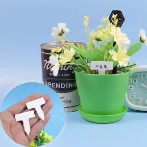 미니 소형 사각 화분 튼튼 다육이 식물이름표 10P