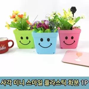 사각 스마일 소형 미니 꽃 플라스틱 화분 1P 다육이