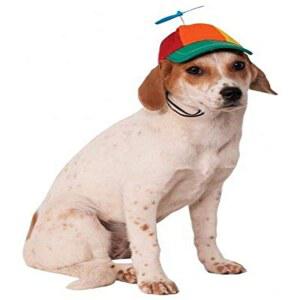 개나 고양이를 위한 루비 프로펠러 모자 반려동물 모자, M/L