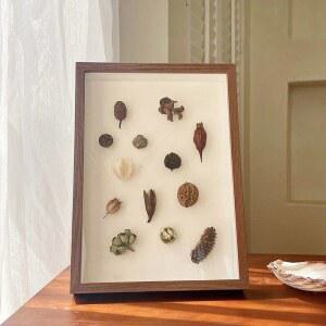 곤충 표본 액자 표본상자 실제 3CM 드라이플라워 나무색 16인치 30X40CM 나비 장식