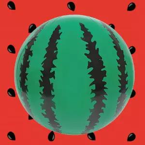 수박탱탱볼 수박공 비치볼 물놀이 공놀이