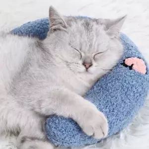 반려동물 머리쿠션 고양이 강아지 베개 반달모양 받침