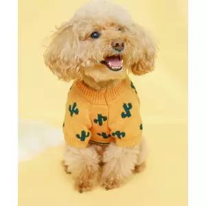 소형견 강아지니트 귀여운 산책 애견스웨터 패션 겨울옷 시츄