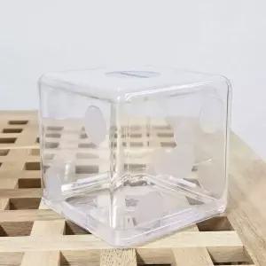 투명 주사위 사각 저금통 동전 보관함 인테리어 소품