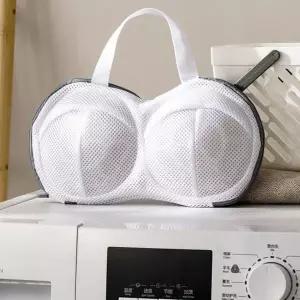 브라 세탁망 속옷 보관 케이스 옷장 정리함 휴대용