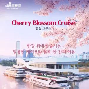[서울크루즈] 벚꽃 크루즈 (여의도 터미널 출발)