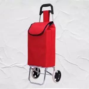 [RIZPICK]이동식 카트 대형 장바구니 바퀴달린 시장 캐리어