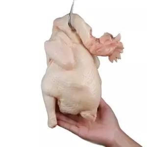 모형 생닭 가짜 닭가슴살 페이크푸드 디스플레이 음식점 치킨집 샘플