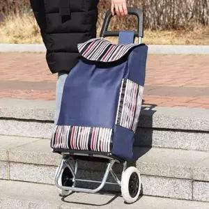 [RIZPICK]휴대용 폴딩 카트 쇼핑 가정용 접이식 편리한쇼핑 가볍고 다용도