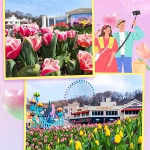 특가 에버랜드 종일이용권 (~5/31)