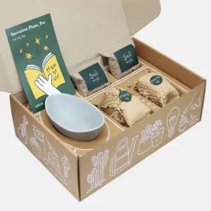 다육 키우기 세트 다크그레이 키우기쉬운식물 화분씨앗 다육이키우기 식물키트소소플리마켓