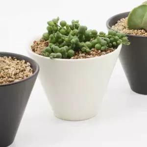 다육 키우기 세트 화이트 집에서채소키우기 다육이키우기 다육이화분세트 실내식물키우기소소플리마켓