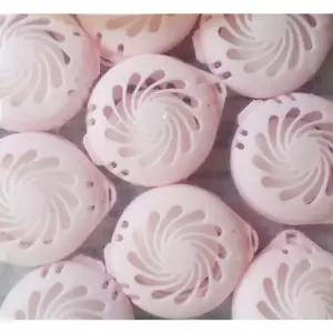 캄파 나프탈 렌 5팩 옷장 좀약 좀벌레 랜