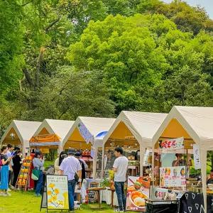 야외 행사용 천막 텐트 이동식 주차장 어닝 캐노피