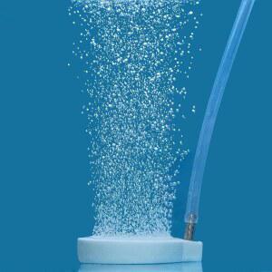 소형 에어 펌프 수족관 어항용 Pawfly 2인치 에어 스톤 디스크 에어레이터 버블