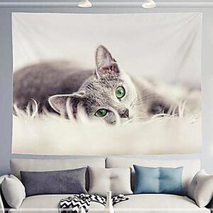 러시안블루 패브릭포스터 소-100X75 학교 관공서 인테리어포스터 패브릭가림막 가림막포스터