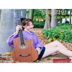 통기타입문용 어쿠스틱 포크 초보 독학 버스킹 연습용