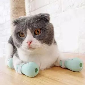 [반려] 실리콘 방지 고양이 부츠 할큄