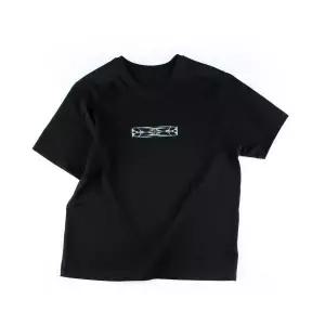 CHOOCHUIWOO 가야금 2070719