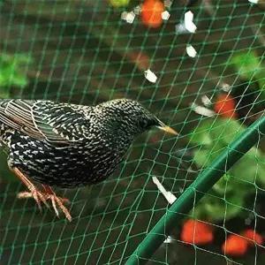 [RIZPICK]방조망 농작물 보호 그물 4x10m