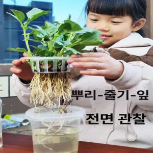 52QUAD 수경재배기 재배기 상추키우기 수경 타워형 채소키우기 재배 식물재배기