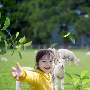[남해아이와가볼만한곳] 남해양떼목장 양모리학교 이용권/테마파크/동물원/체험/여행/아이와함께/아이와갈만한곳