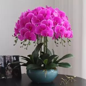 승진 선물 서양난 조화 대형 집들이 화분 장식