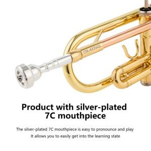 고급 가죽 케이스가 포함된 고품질 악기