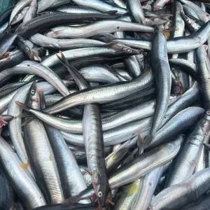 냉동 양미리 3KG 양미리 냉동 생선 국내산 국산