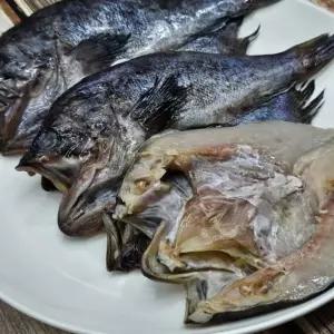 반건조 손질 우럭 3미 반건조우럭 손질우럭 냉동우럭 반건조생선 구이용우럭