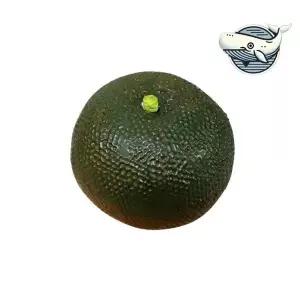 실물같은 청귤 모형 소품 카페 인테리어