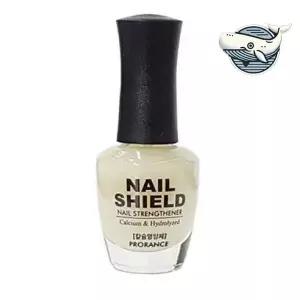 손톱 강화 영양제 빠른 건조 매니큐어 손톱