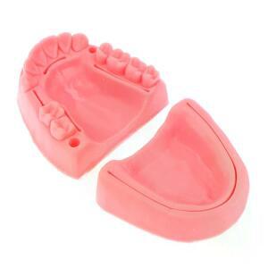 의대생 2개 의료용 피부 봉합 수술 훈련 키트 패드 치과 구강/잇몸 모듈 실리콘 치주염 모델