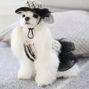 강아지드레스 강아지 마카롱 원피스 옐로우 프릴 벨보아 드레스 1P