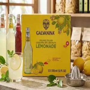 갈바니나 유기농 레몬에이드 355ml x 12병