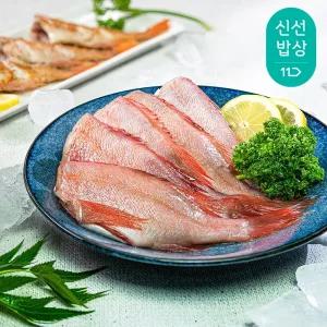 오동통 손질 적어 붉은 볼락 열기 10미