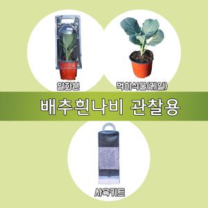 배추흰나비기르기세트(관찰용) EDU-40277 / 과학 체험학습 실험키트