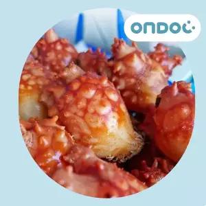 [온도씨]경남 통영 산지직송 활멍게(1kg)