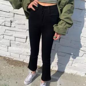 빅사이즈 502 시크블랙부츠컷밴드팬츠 DCAQ529