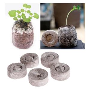 코코넛 지피펠릿(50개입) EDU-40491 / 과학 체험학습 실험키트