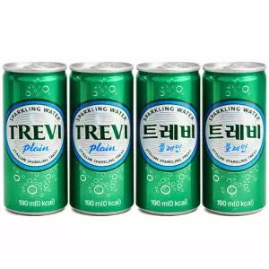 (60캔) 트레비 플레인 190ml x 30캔 / 2 BOX