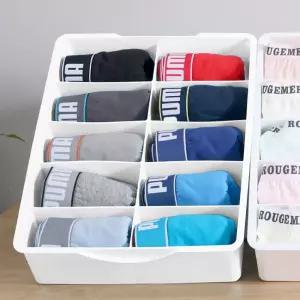 플라스틱 10칸 속옷 정리함/공간활용/다용도/디자인/수납함/정리/수납/양말/넥타이/보관/칸막이/언더웨어