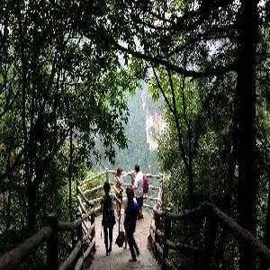[NO쇼핑/NO옵션/부용진]장가계직항 5일#5성급호텔 #대협곡 #천문산+천문산사+귀곡+유리잔도 #전신마사지 #보봉호수VIP #리무진버스 #포토북 #BBQ푸드트럭