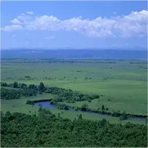 [대한항공][유류할증료 포함] 홋카이도 5일# 쿠시로 #감성 오타루 # 후라노 비에이# 라벤더의 절경 # 팜 도미타  #대게+음주류 무제한