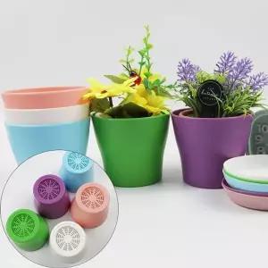 무늬없는 꽃 교육용 다육이 소형 미니 화분 받침 1P