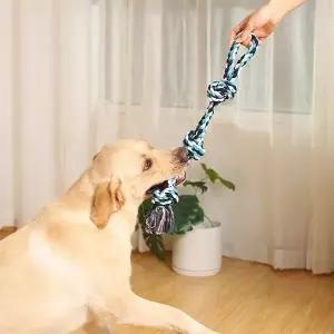 [아트박스]/이룸 반려동물 로프 터그놀이장난감