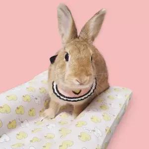 강아지 턱받침 애완동물 스카프 소형 애견스카프 고양이스카프 토끼옷 강아지목줄