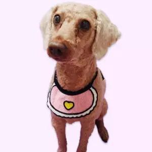 강아지 턱받침 애완동물 스카프 대형 애견스카프 고양이스카프 토끼옷 강아지목줄